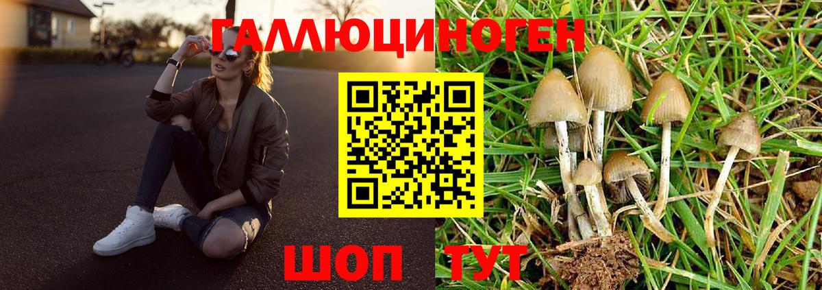 купить наркотики сайты  Галлюциногенные грибы прущие грибы  Вход с VPN  Пугачёв  Галлюциногенные грибы мицелий 